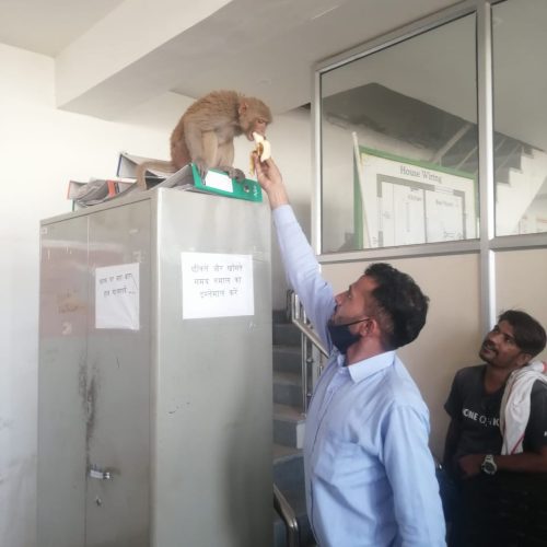 WhatsApp Image 2022-01-19 at 9.27.17 AM (1)