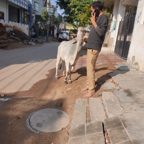 WhatsApp Image 2022-01-19 at 9.36.22 AM (1)