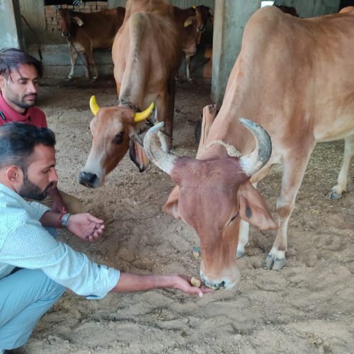 WhatsApp Image 2022-01-19 at 9.36.24 AM