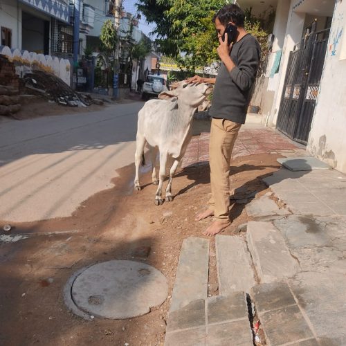 WhatsApp Image 2022-01-19 at 9.36.25 AM (1)
